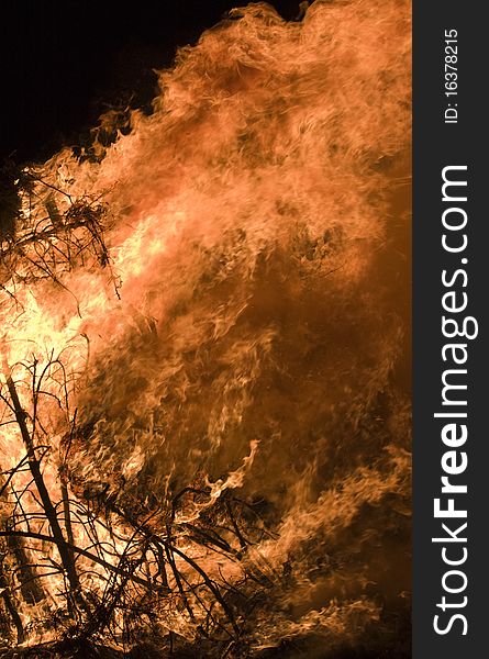 Closeup of the blazing fire of dry forest.