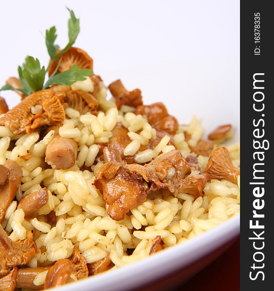 Risotto with mushrooms on a plate decorated with parsley