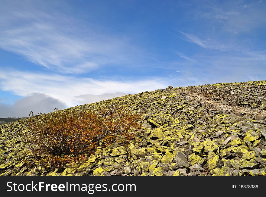 Stone Hillside.