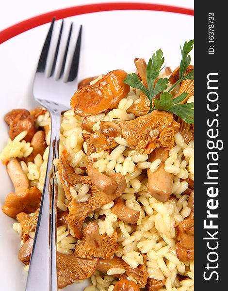 Risotto with mushrooms on a plate decorated with parsley and a fork