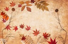 Abstract Grunge Floral Background With Leaves Royalty Free Stock Image