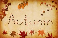 Autumn Written By Leaves Royalty Free Stock Photography Autumn Written By Leaves Royalty Free Stock Photography