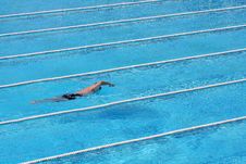 Freestyle Swimming Royalty Free Stock Photography