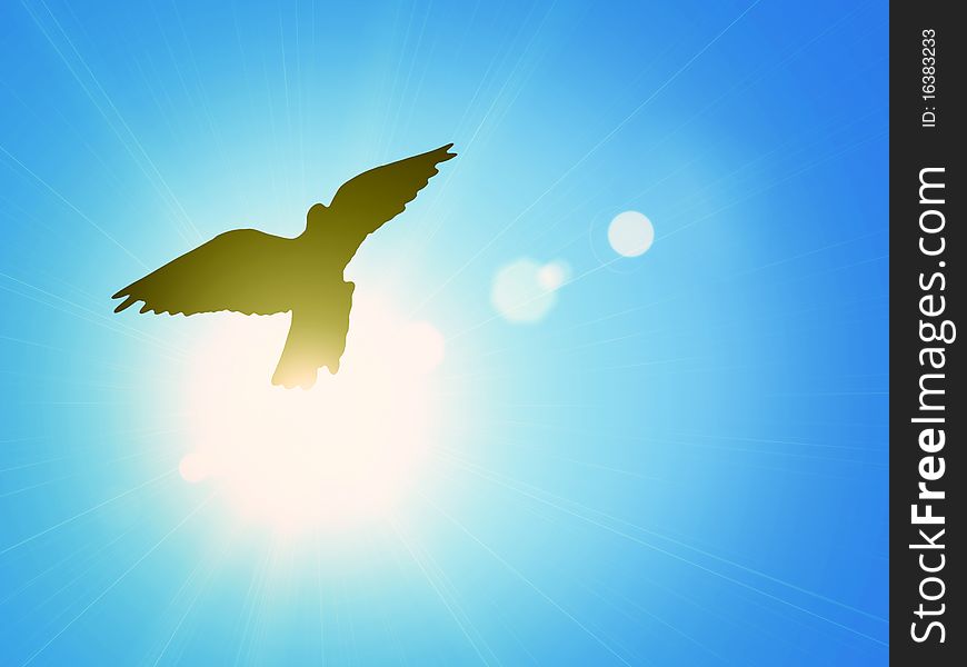 Pigeon against the blue sky and a shining sun