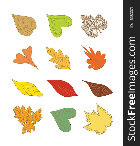 12 leaf design elements in autumn colors
