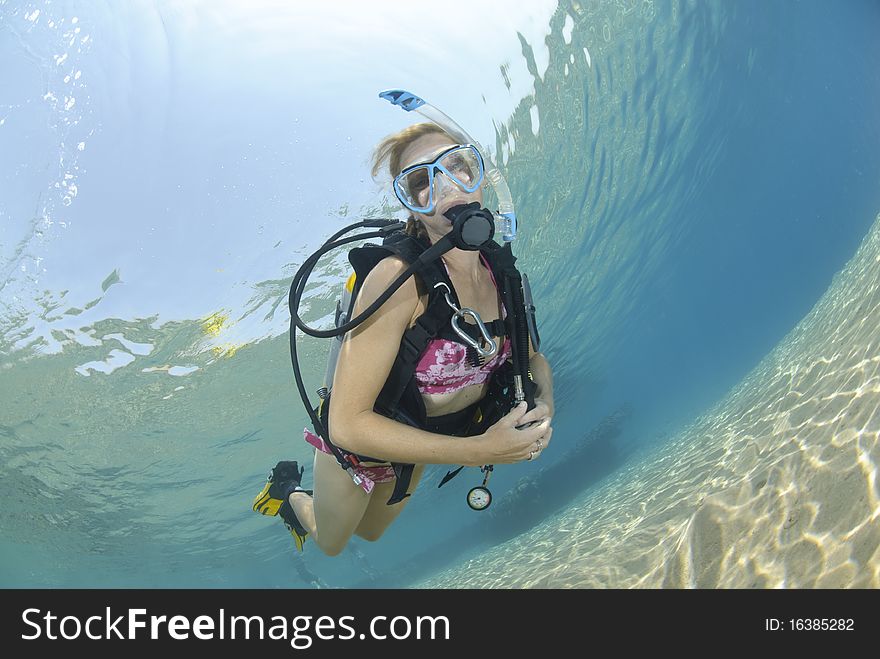 Adult Female scuba diver in bikini diving in shallow tropical water