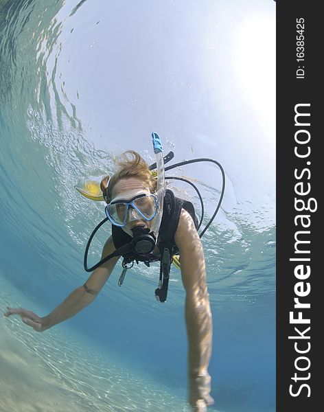 Adult Female scuba diver in bikini diving in shallow tropical water