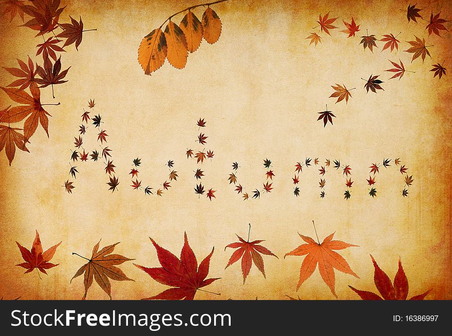 Grunge background with autumn letters made by leaves. Grunge background with autumn letters made by leaves