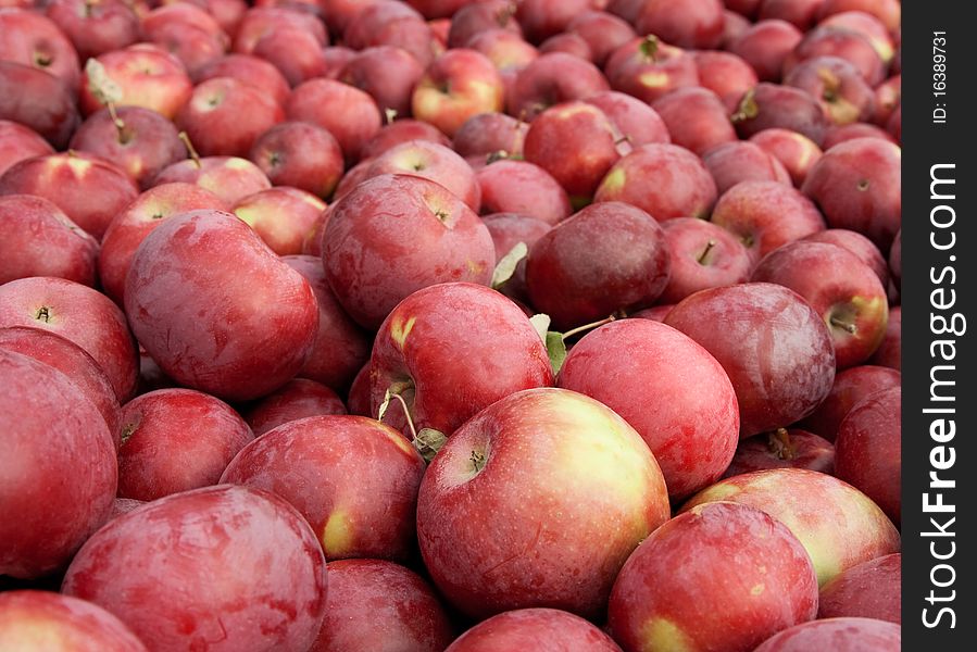 Many freshly picked tasty red apples, horizontal background. Many freshly picked tasty red apples, horizontal background.