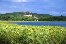 Summer Palace- Tower Of Buddhist Incense(foxiangge Stock Photos