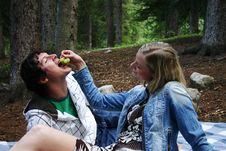 Couple On A Picnic Royalty Free Stock Photos Couple On A Picnic Royalty Free Stock Photos