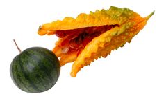 Momordika And Watermelon Stock Image