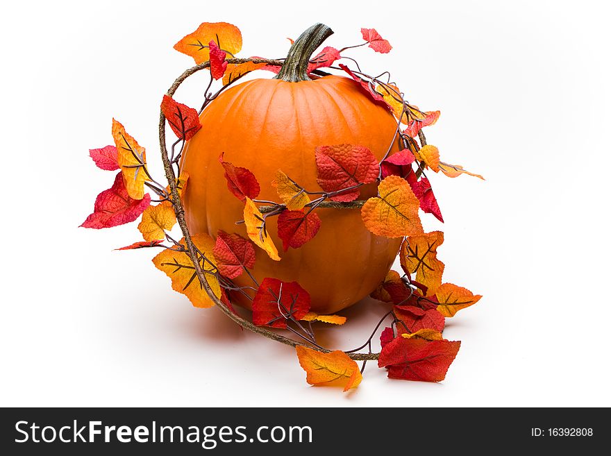 Ivy covered pumpkin isolated on white.