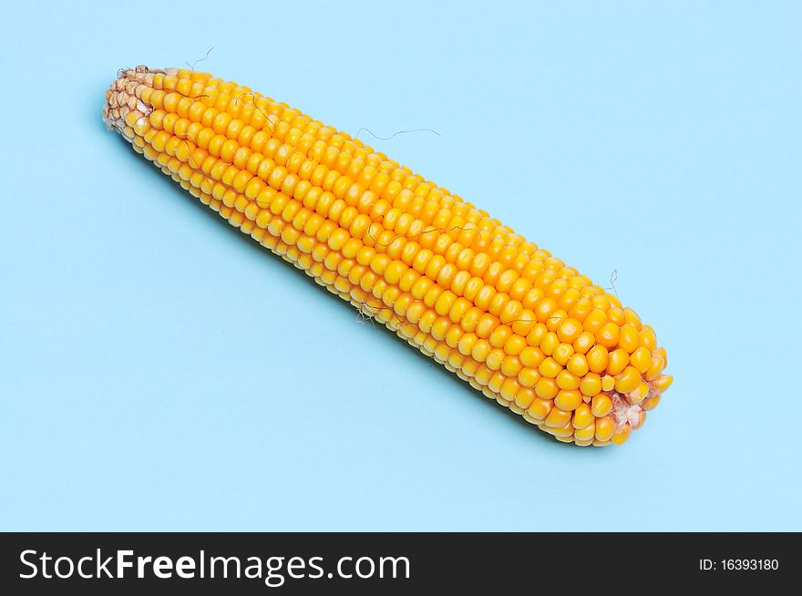 closeup of dry yellow corn.