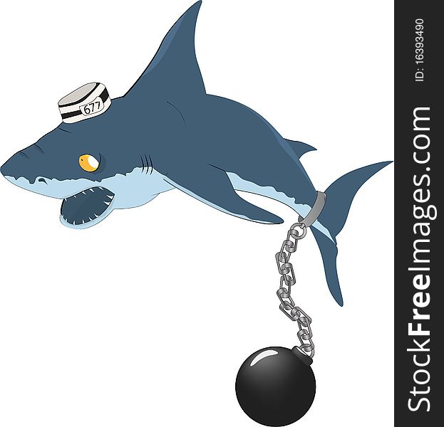 Shark The Prisoner