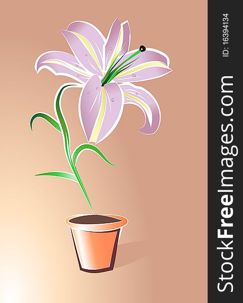 Flower illustration, violet, potted plant, beauty. Flower illustration, violet, potted plant, beauty