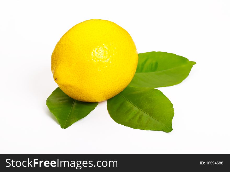 Single Lemons And Lemon Leaves