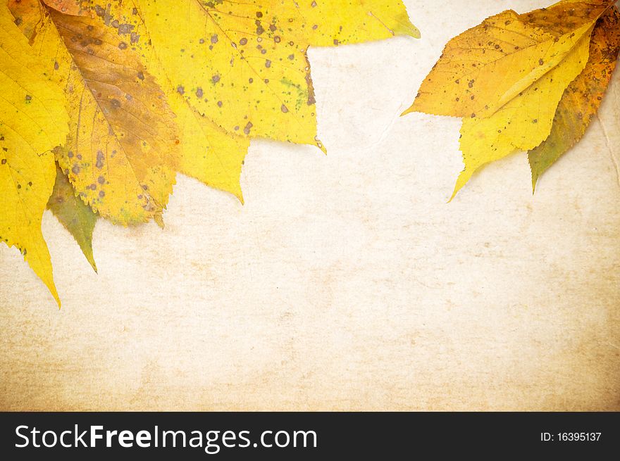 Grunge background with autumn leaves and copy space