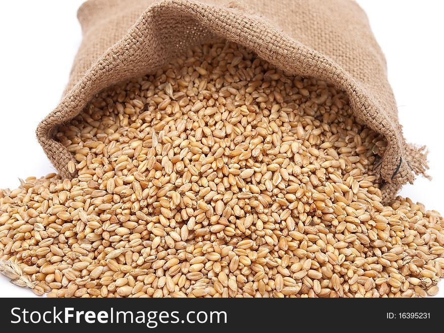 The scattered bag with wheat of a grain