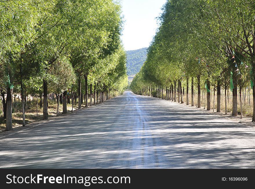 This is taken in shanxi province in fall season. This is taken in shanxi province in fall season