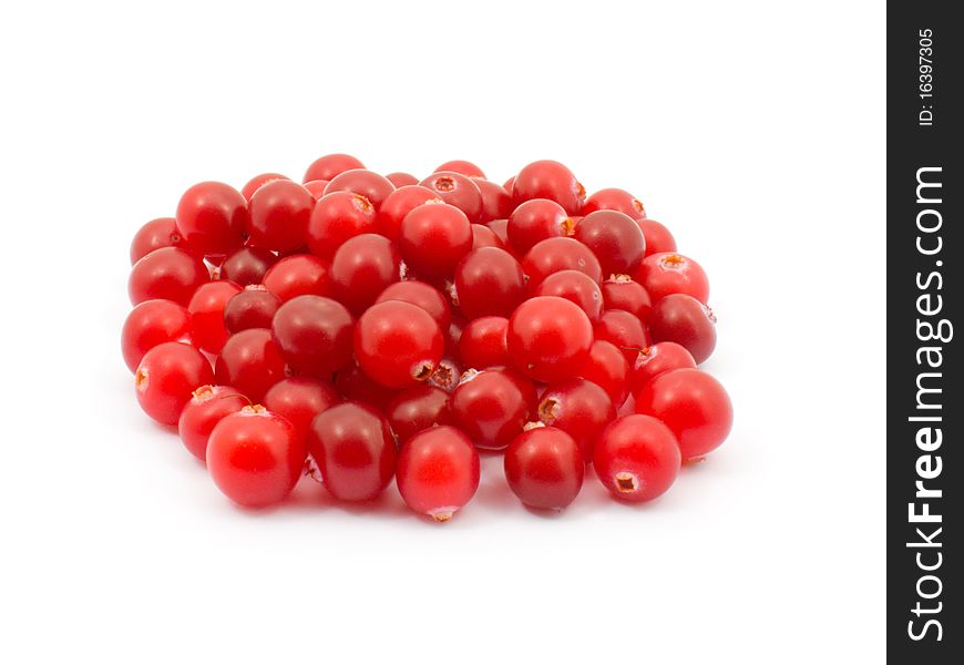 Cranberries in the pile on a white background.