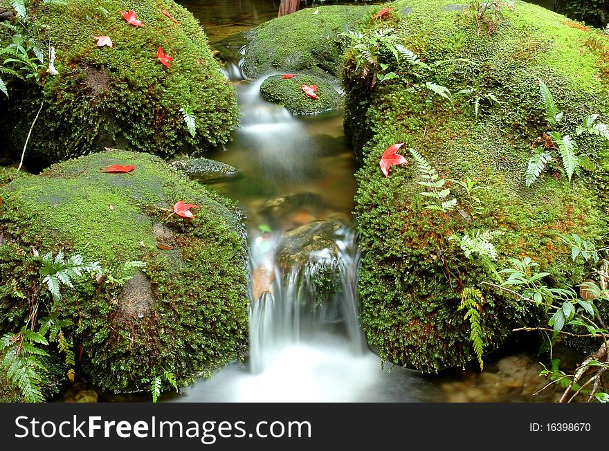 The beautiful waterfall at Phukraduang National Park in Thailand