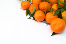 A Pile Of Tangerine Branches Stock Photography A Pile Of Tangerine Branches Stock Photography