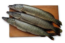 Fish Before Preparation Stock Images Fish Before Preparation Stock Images