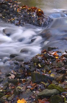 Autumn Leaves In Creek Stock Photo Autumn Leaves In Creek Stock Photo