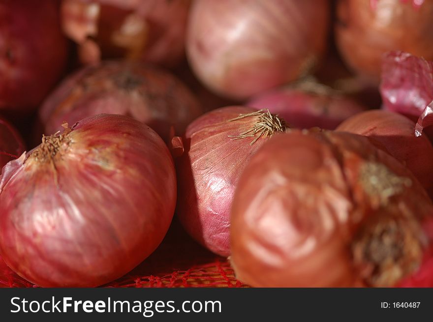 Onions in a group with central focus on middle onion. Shallow depth of field used.