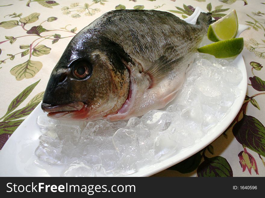 Fresh fish in an ice on a white dish
