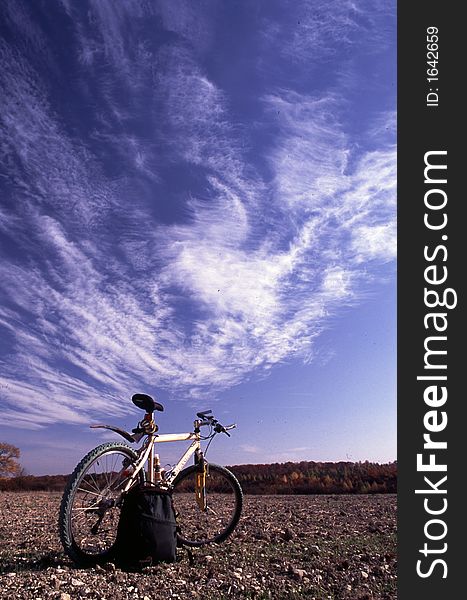 Alone bike near forest in Poland