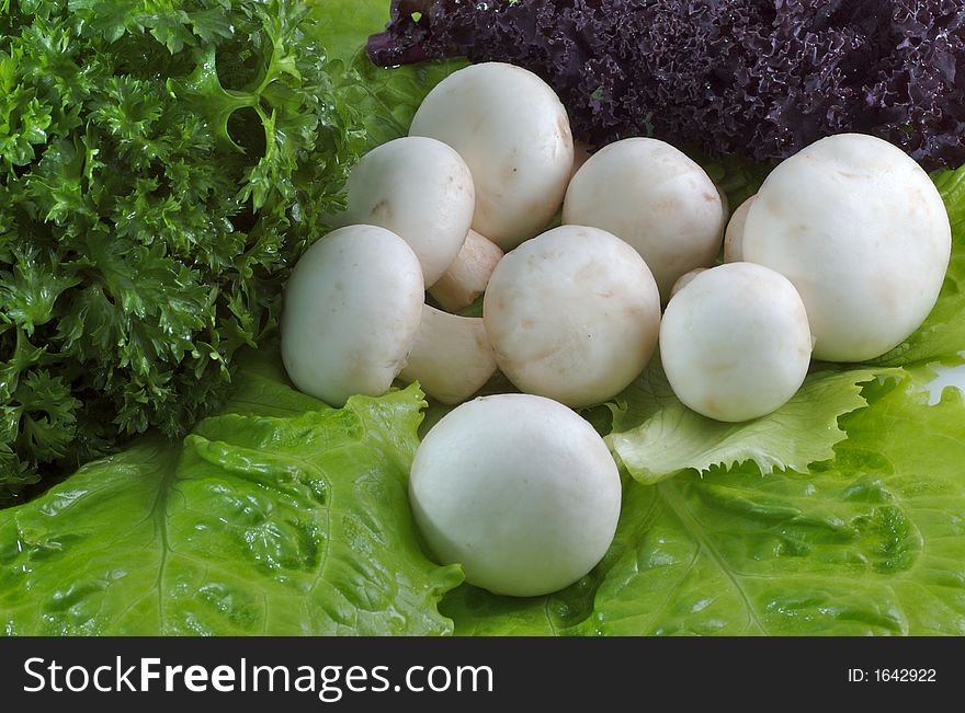 Salad from field mushrooms and lettuce