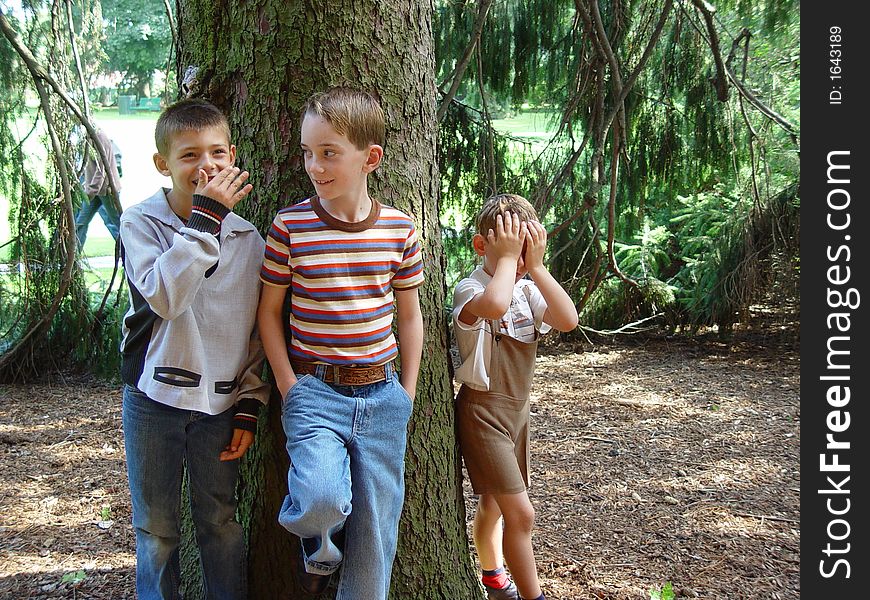 Boys hanging around a tree outside. Boys hanging around a tree outside