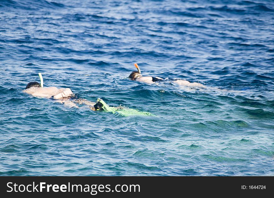 Two Snorkeling Person In Coastal Waters