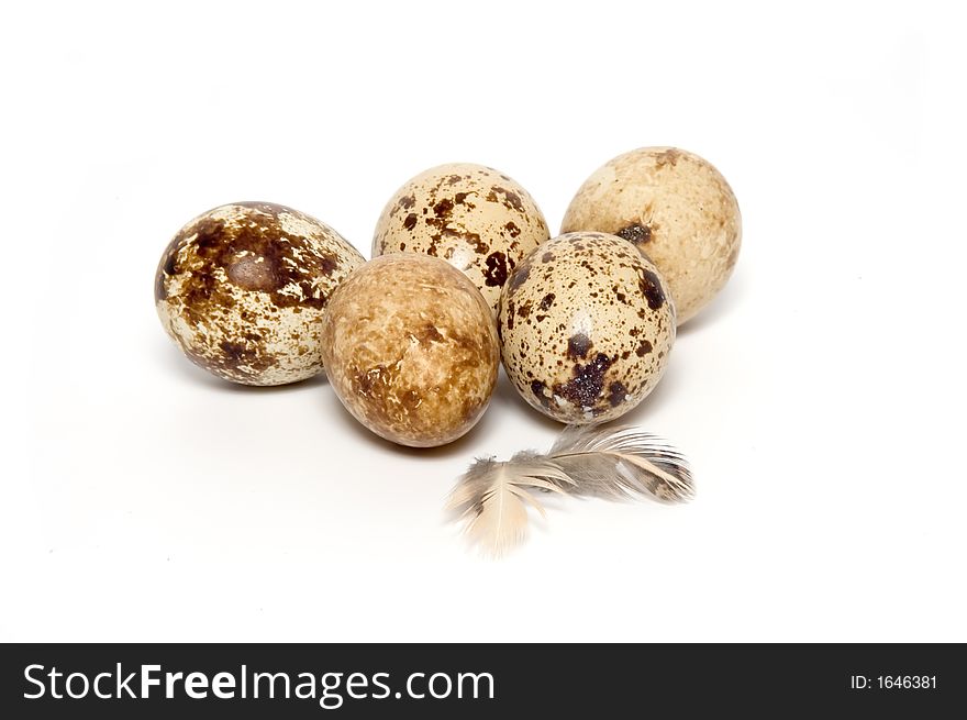 Quail eggs with feather isolated on white background