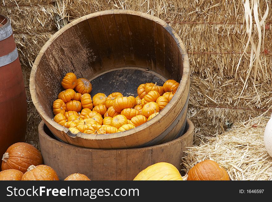 Pumpkin In A Barrel