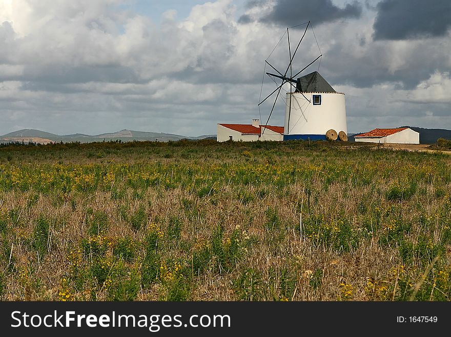 Old mill house in the middle of a yellow field