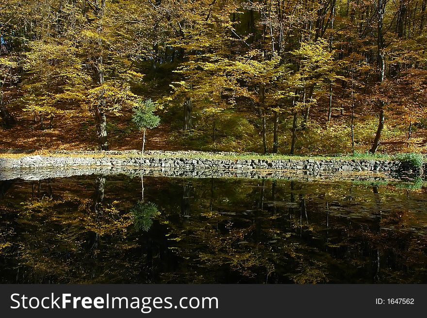 Autumn forest with reflection in water. Autumn forest with reflection in water