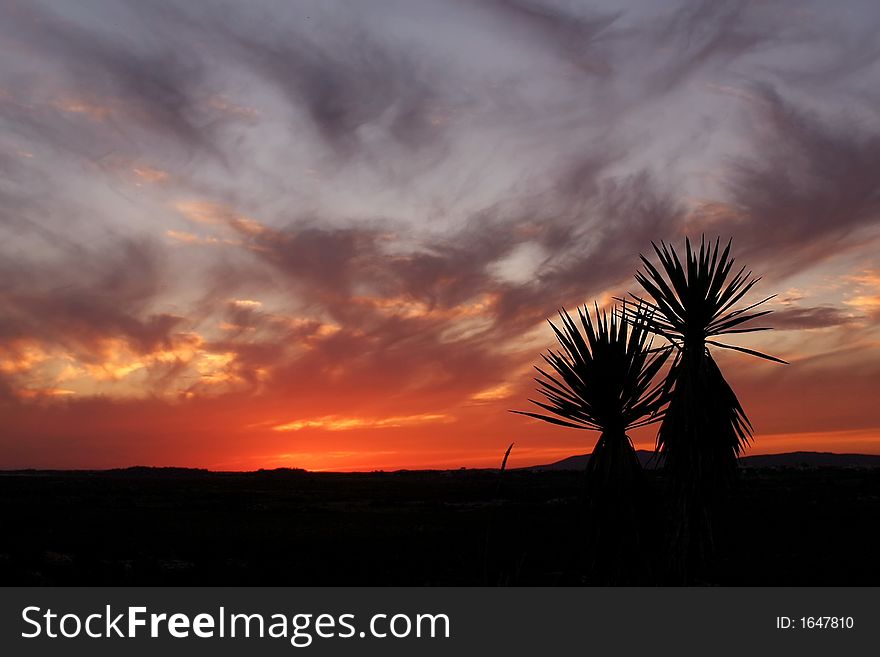 The great sunset colors, the nature colors