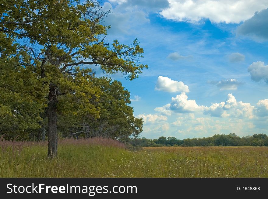 Sunny summer vibrant landscape shot. Sunny summer vibrant landscape shot