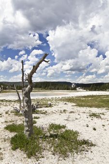 Yellowstone Royalty Free Stock Photo Yellowstone Royalty Free Stock Photo