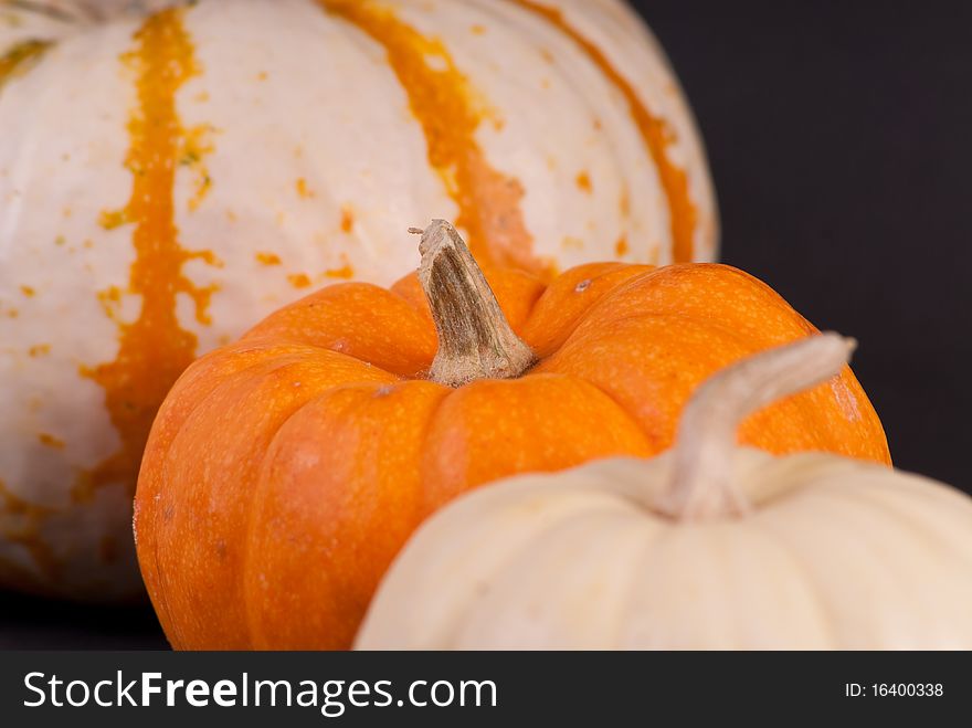 Stem of Orange Miniature Pumpkin With Other Pumpkins. Stem of Orange Miniature Pumpkin With Other Pumpkins