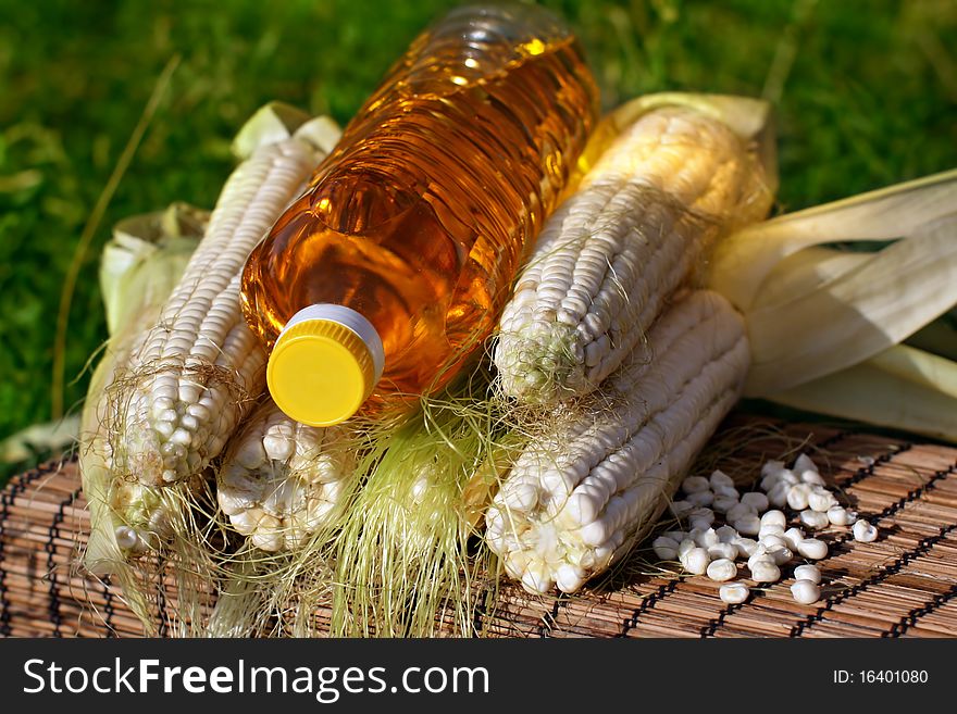 Freshlpicked corn on the cob and bottle of yellow oil. Freshlpicked corn on the cob and bottle of yellow oil.