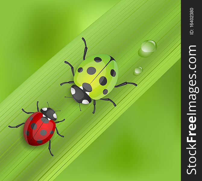 Red Ladybird bug at leaf cartoon illustration
