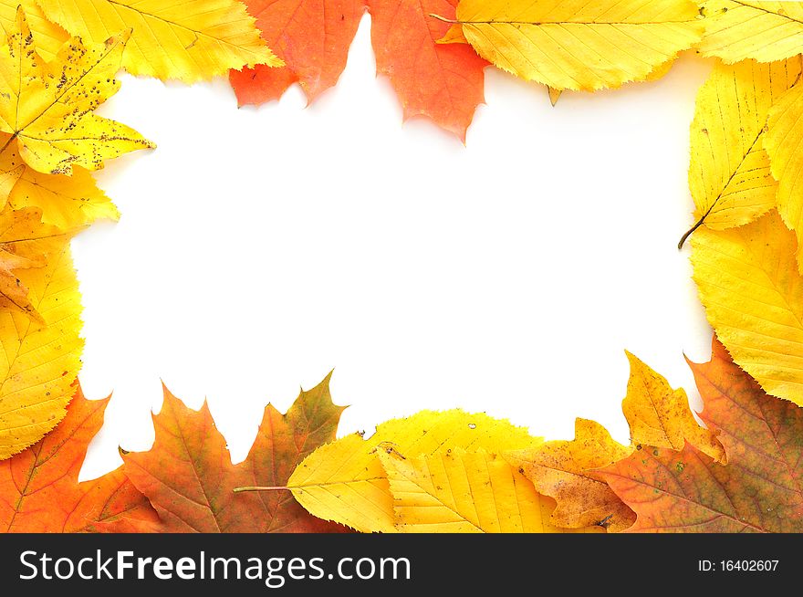 Autumn card of colored leafs isolated over a white background. Autumn card of colored leafs isolated over a white background
