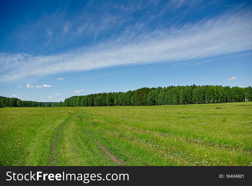 Summer landscape with a road going through the field to the forest. Summer landscape with a road going through the field to the forest