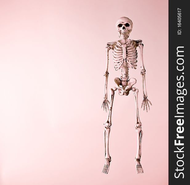 A scary Skeleton looking straight ahead over a red background. A scary Skeleton looking straight ahead over a red background