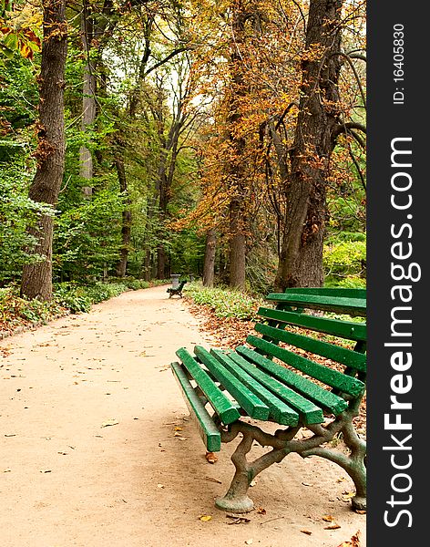 Benches in a beautiful park. Benches in a beautiful park