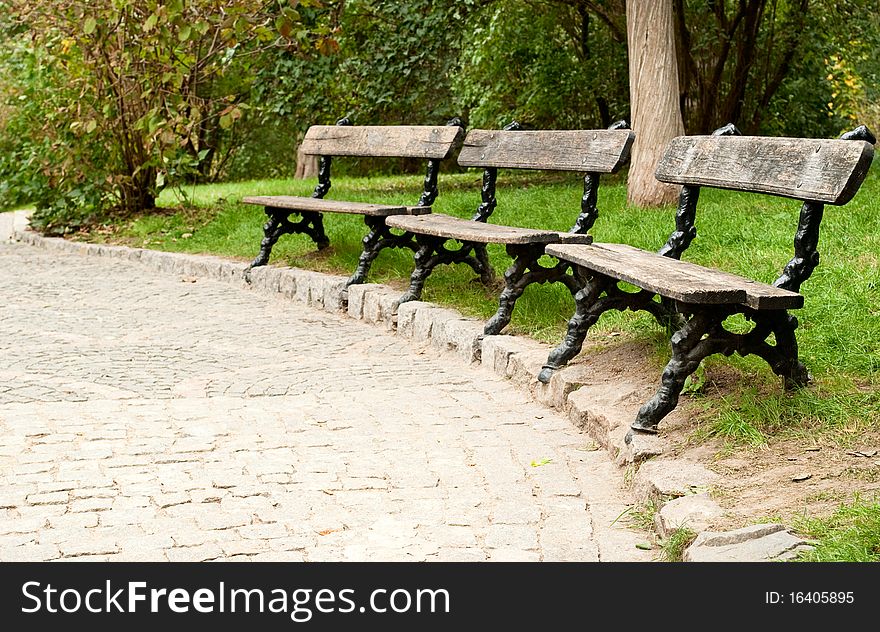 Benches in a beautiful park. Benches in a beautiful park
